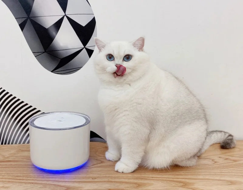 Miiibo Drink Mini 貓咪寶無線水泵寵物飲水機 - 白色