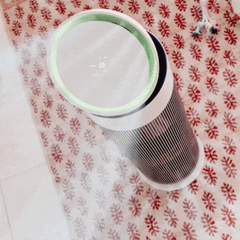 LG PuriCare™ AeroBooster 空氣清新機
